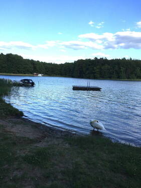 See in naher Umgebung - 