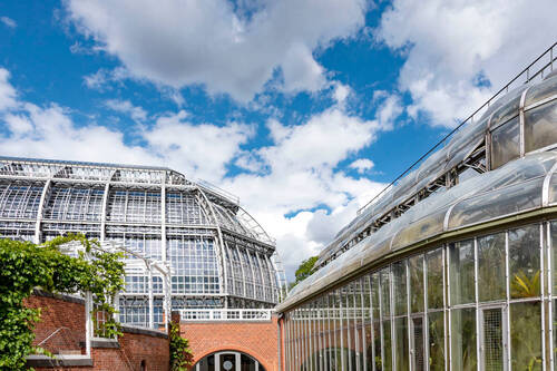Botanischer Garten - 