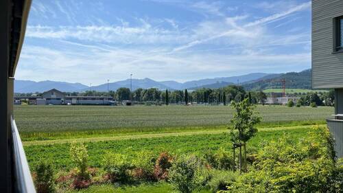 Herrlicher Weitblick ins Dreisamtal in Richtung Kirchzarten - 
