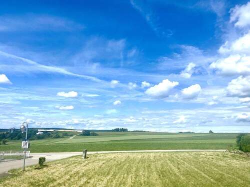Felder neben dem MFH - 