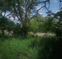 SHAREDEAL - ca. 4,5 ha großes Grundstück mit Bestandsgebäuden - Eilenburg