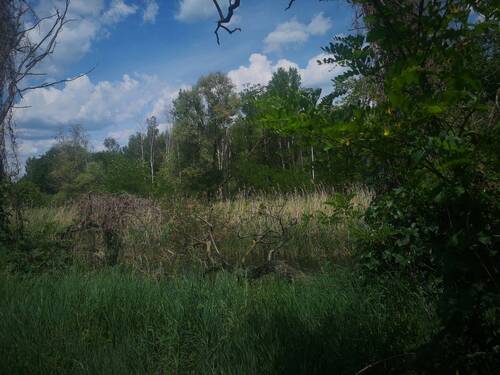 Bild 2 - Grundstück zum Kaufen in Eilenburg