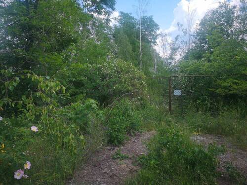 Bild 4 - Grundstück in Eilenburg zum Kaufen