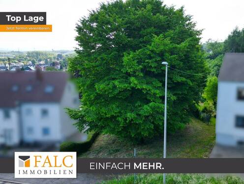 Frontansicht - Toplage am Waldrand: 750?m² Bauland auf 2.971?m² Gesamtfläche