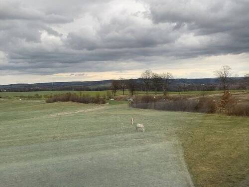 Weitblick - 