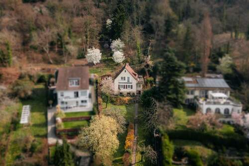 Vogelpersepktive - 4 Zimmer Einfamilienhaus zum Kaufen in Heidelberg