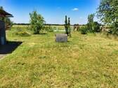Blick in den Garten - 