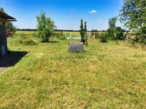Blick in den Garten - 
