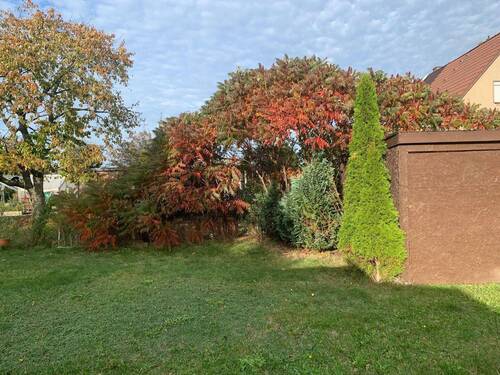 Garten - 