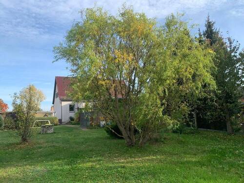 Garten mit Blick zum Haus - 
