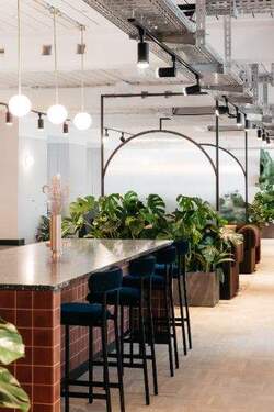 Lounge - 