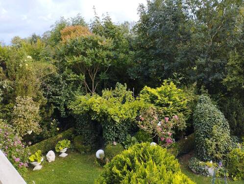 Blick vom Balkon.jpg - 