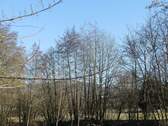 P1000174.JPG - 