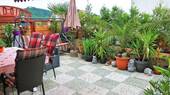 Sommer auf der Terrasse - 