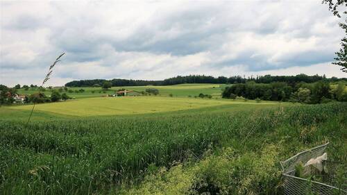 Ausblick von der oberen Gartenebene - 