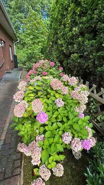 IMG_7456 - 8 Zimmer Einfamilienhaus zum Kaufen in Sassnitz