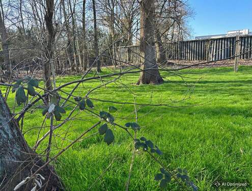 KI-optimiertes Foto: ..... für die Freizeit - 