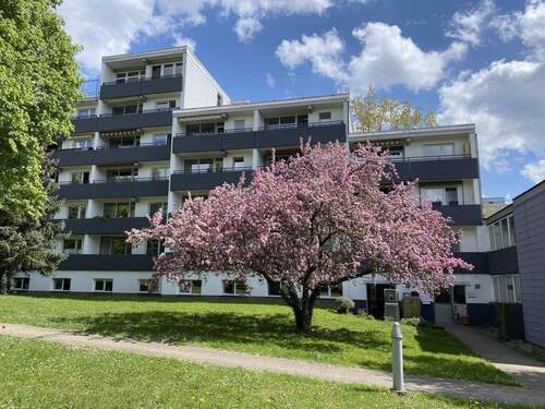 Lahnstraße, frühling - 