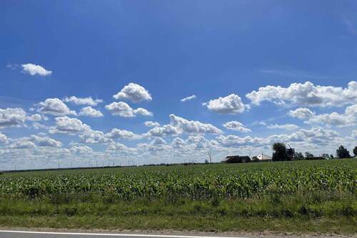 Ausblick gegenüberliegende Straßenseite - 