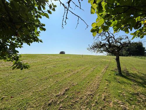 Ausblick - Grundstück in Münsing