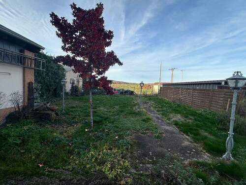 tempImage412HmL.jpg - 