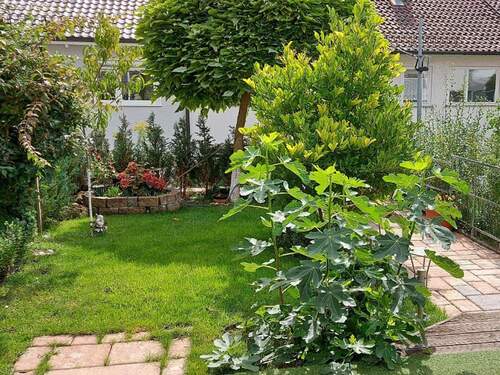 Blick in den schönen Garten im Sommer - 