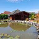 Gartenteich/Blockhaus - 