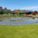 Gartenteich - 