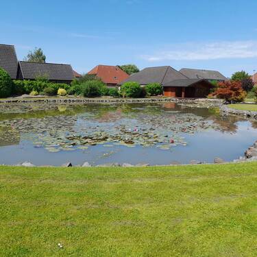 Gartenteich - 