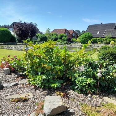Garten - 