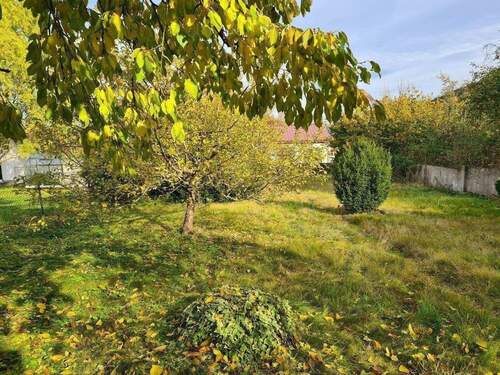 Grundstück - 7 Zimmer Einfamilienhaus zum Kaufen in Wolfhagen