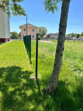 gepflegtes Umfeld - 