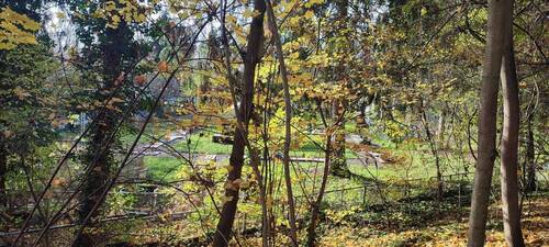 Schlafzimmer - 3 Zimmer Etagenwohnung in Fürth
