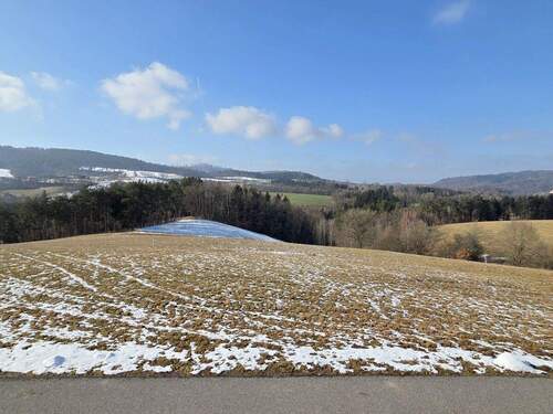 Blick ins Grüne - Grundstück in Nittenau zum Kaufen