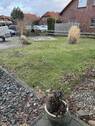 Garten inkl. Steingrill - 