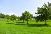 Egal von welcher Seite - 