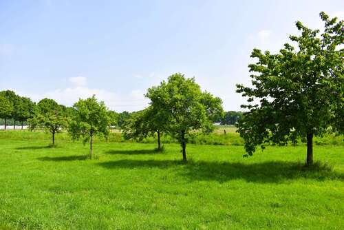Egal von welcher Seite - 