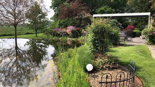 Terrasse mit Schwimmteich - 