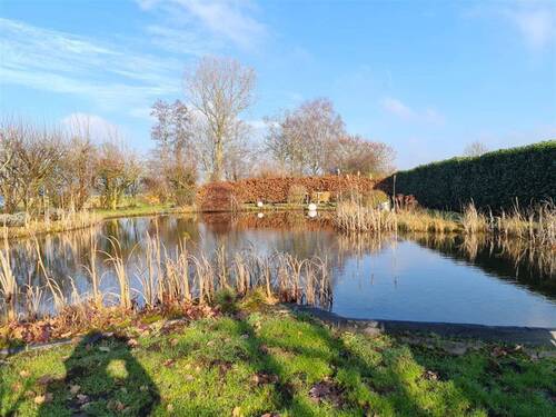 Schwimmteich - 
