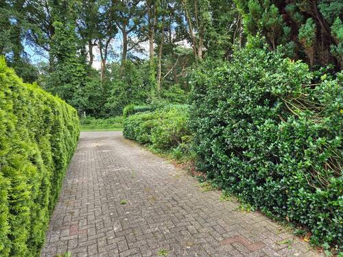 Zuwegung Garage - 