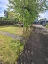 Garten vorne - 