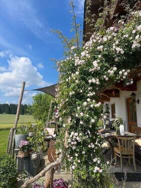 Terrasse S.jpg - Platz für 2 Familien, 530 m² Wohn und Nutzfläche, 4146 m² Grund Plus Gr. Halle