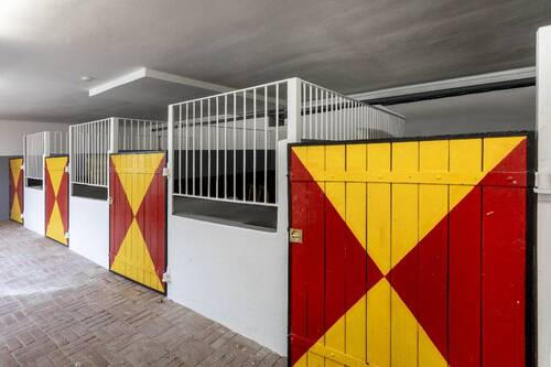 Pferdestallungen im Gebäude - 