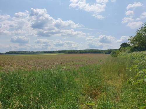 Salder.jpg - Einfamilienhaus mit 166,00 m² in Salzgitter zum Kaufen