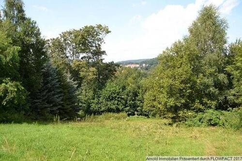 Grundstück - Grundstück in Sebnitz