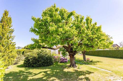 Garten - Grundstück in Berlin