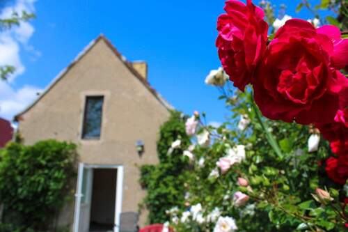 Garten - 7 Zimmer Einfamilienhaus zum Kaufen in Eilenburg