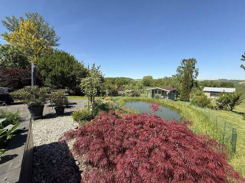 Garten - 8 Zimmer Mehrfamilienhaus, Wohnhaus in Serba