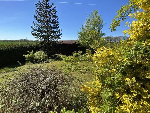 Blick von der Terrasse mit Gartenhaus - 