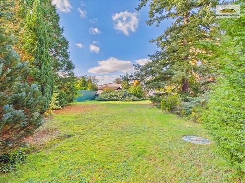 Weitläufiger Garten mit altem Baumbestand_5 - 